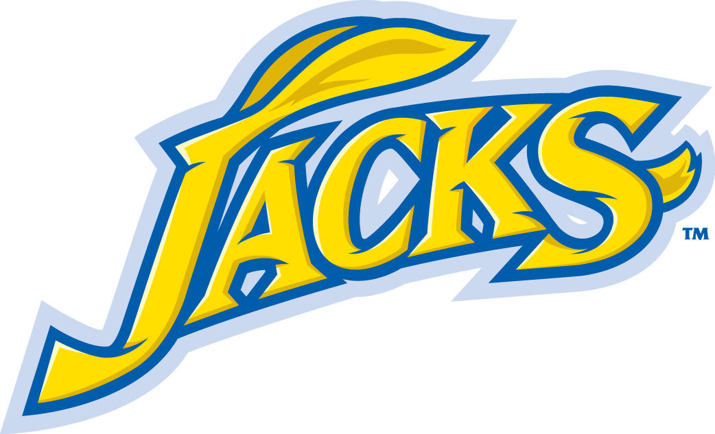 South Dakota State Jackrabbits 2008-Pres Wordmark Logo diy DTF decal sticker